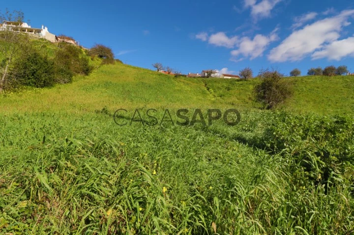 Terreno para comprar em Mafra