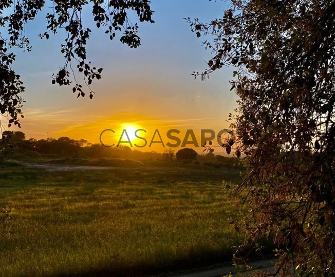 Terreno Misto para comprar em Grândola