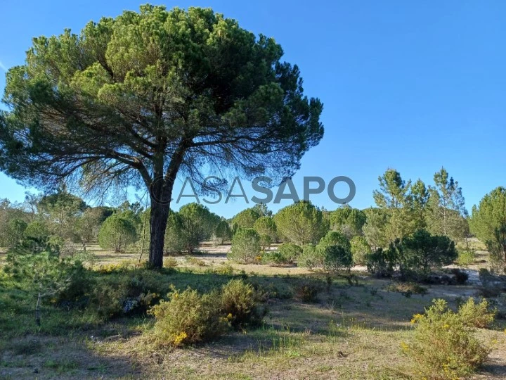 Terreno Misto para comprar em Grândola