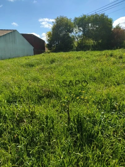 Terreno Rústico para comprar no Bombarral