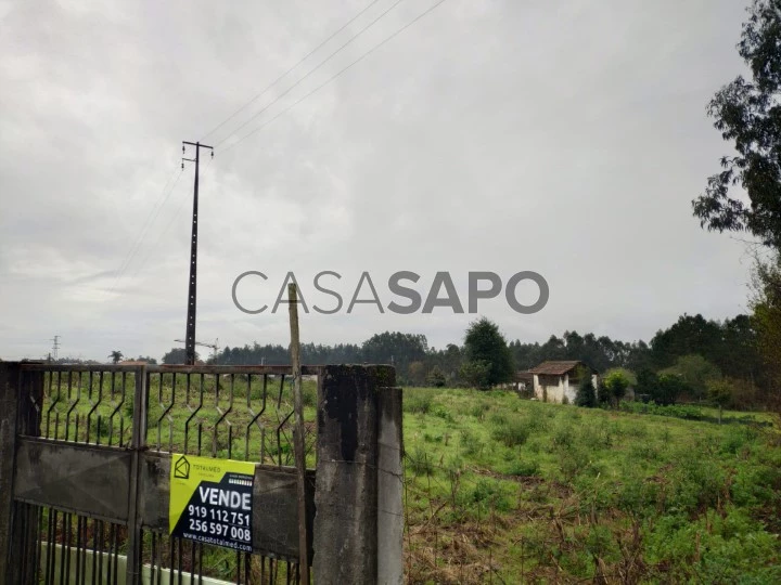 Terreno para Construção em UL, Oliveira de Azeméis