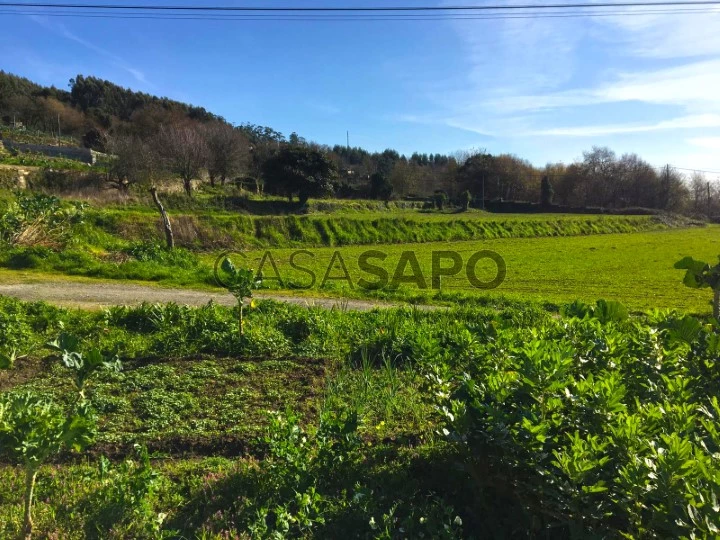 Terreno Urbano na Branca