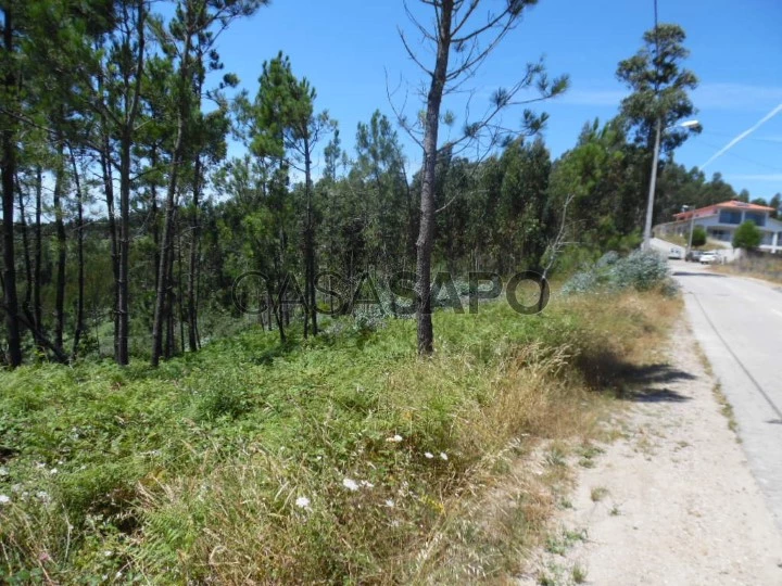 Terreno Carapinheira Serra