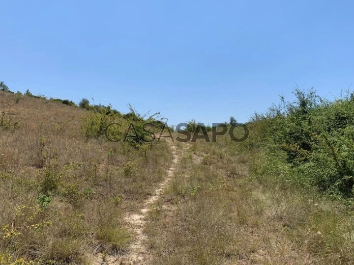 Terreno para comprar em Coimbra