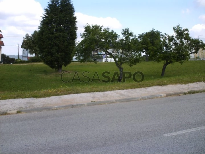 Terreno para comprar em Coimbra