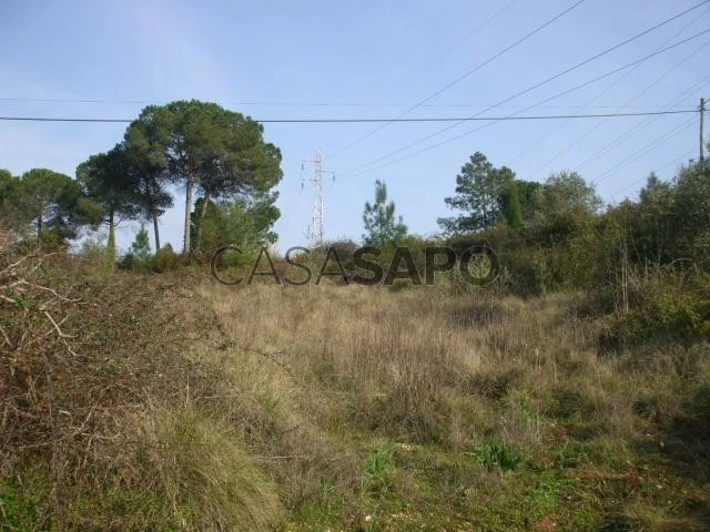 Terreno para comprar em Coimbra