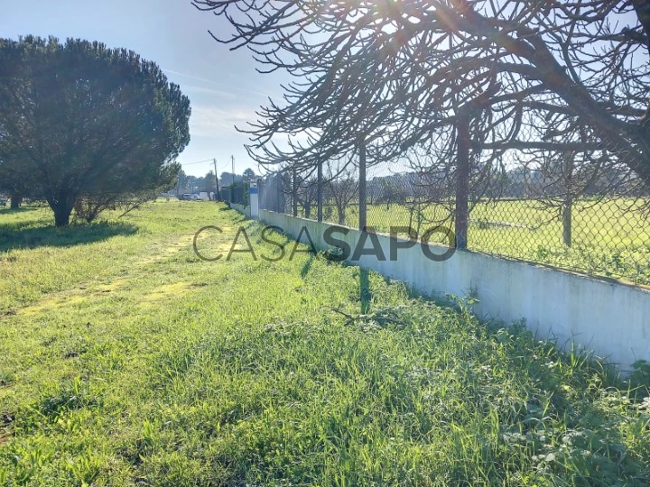 Terreno Urbano para comprar na Moita