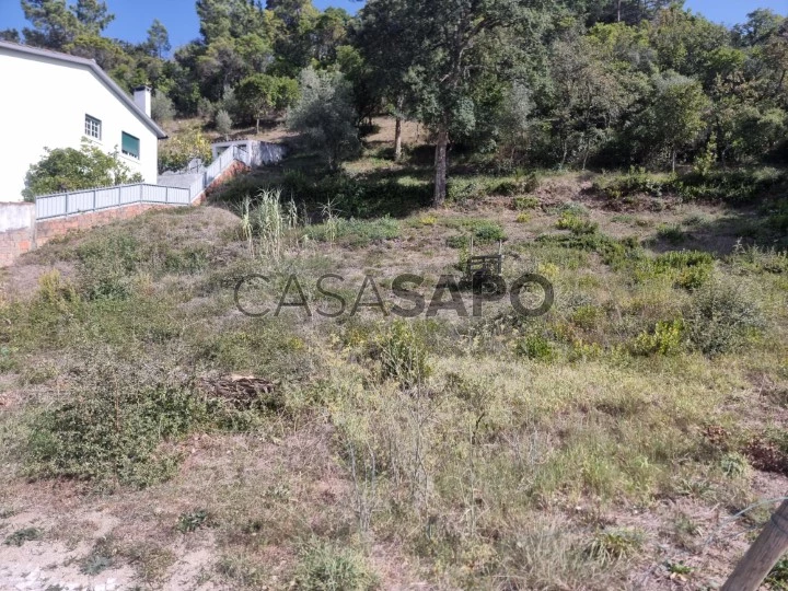 Lote para comprar em Leiria