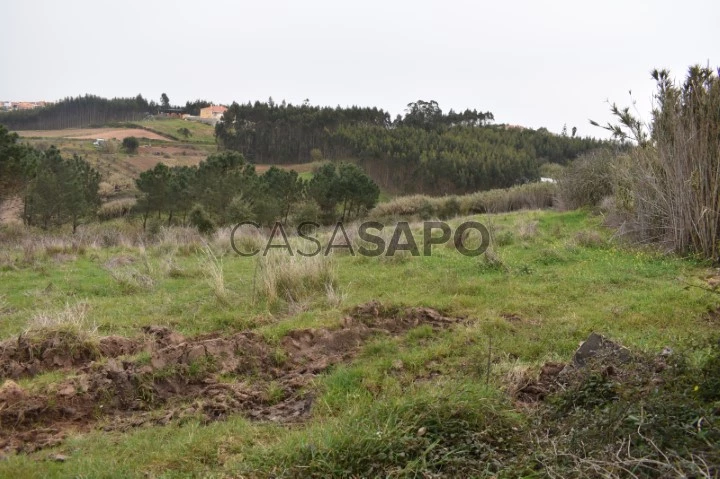 Terreno para comprar na Lourinhã