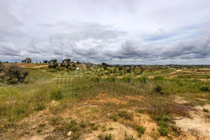 Terreno com 10 hectares, Com Projeto Para Hotel Rural, Albufeira (13)