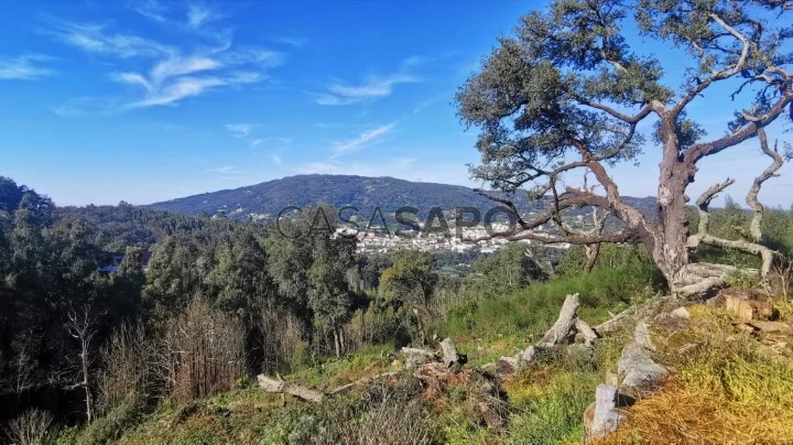 Terreno Misto para comprar em Monchique