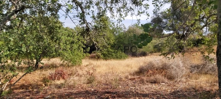 Terreno em Albufeira