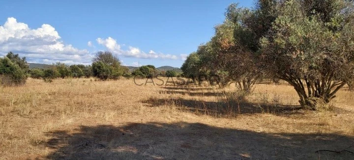 Terreno Rústico para comprar em Albufeira