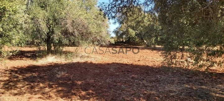 Terreno Rústico para comprar em Albufeira