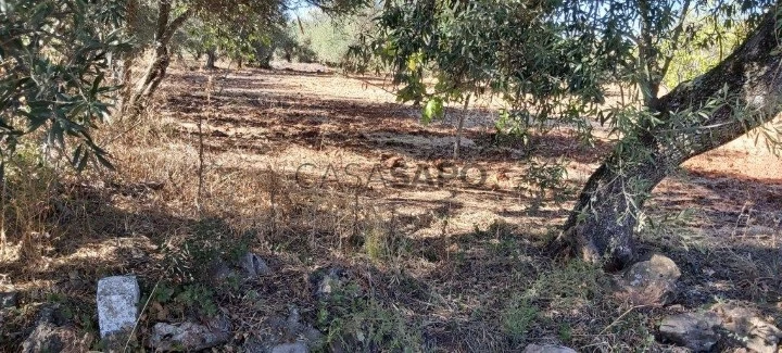 Terreno Rústico para comprar em Albufeira