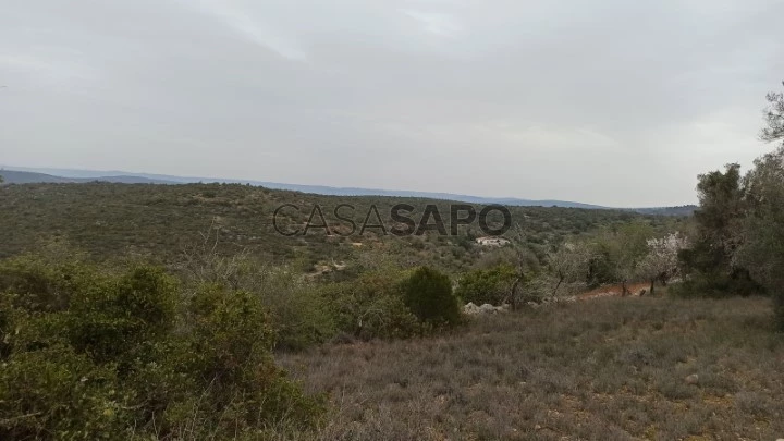 Terreno Rústico para comprar em Loulé