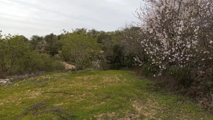 Terreno Rústico para comprar em Loulé