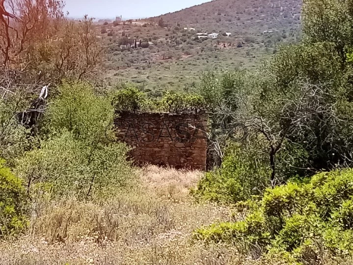 Land with antique house