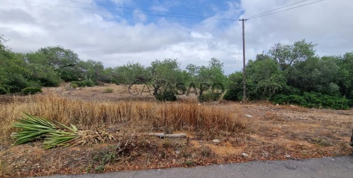 Lote de terreno junto à estrada nacional 125, Patã de Cima