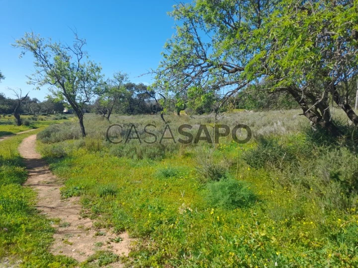 Terreno com vista mar e projeto aprovado para moradia, Santa Bárbara de Nexe, Algarve