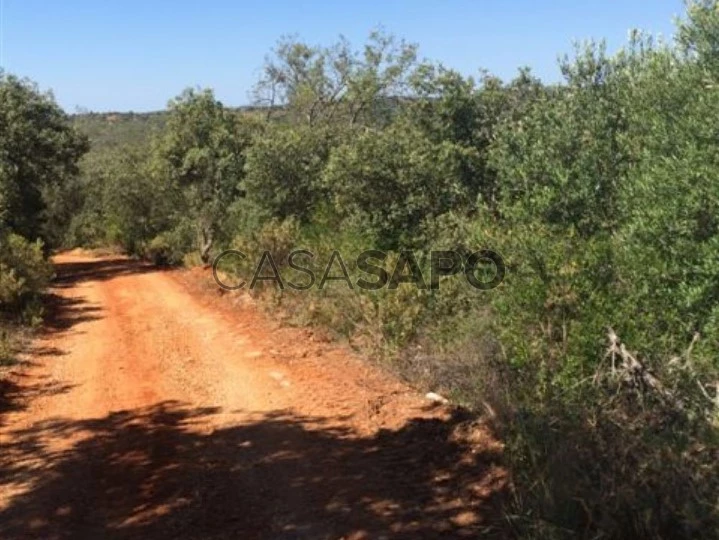 Lote de terreno rústico