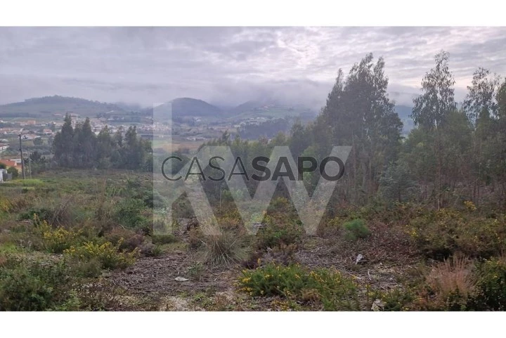 Terreno para comprar em Torres Vedras