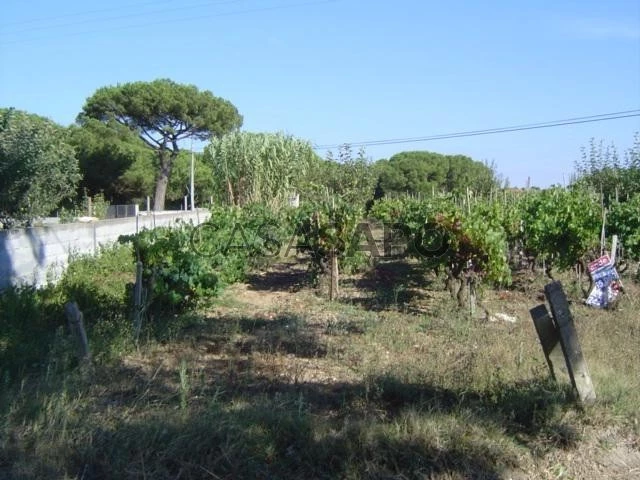 Terreno para comprar em Leiria