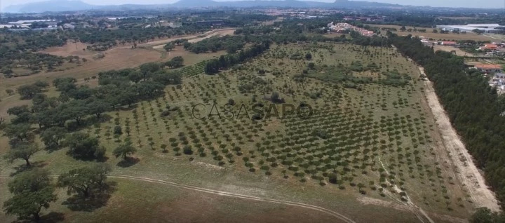 Terreno para comprar em Setúbal