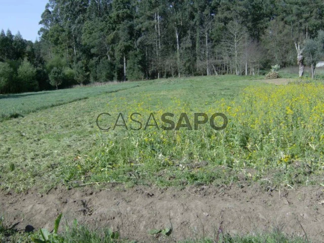 Terreno para comprar em Santa Maria da Feira