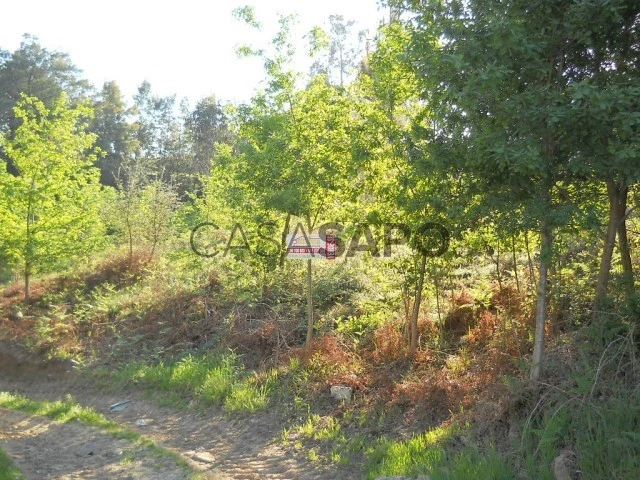 Terreno para comprar em Oliveira de Azeméis