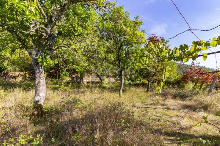 Terreno para comprar em Ponte da Barca