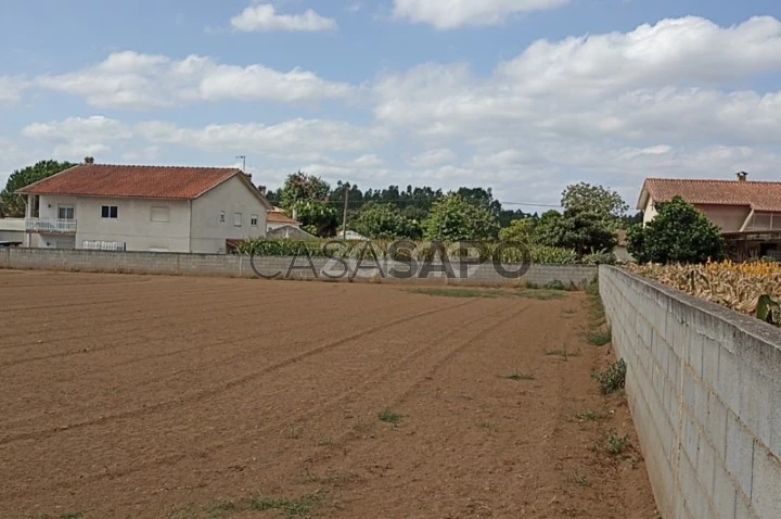 Terreno para comprar em Águeda