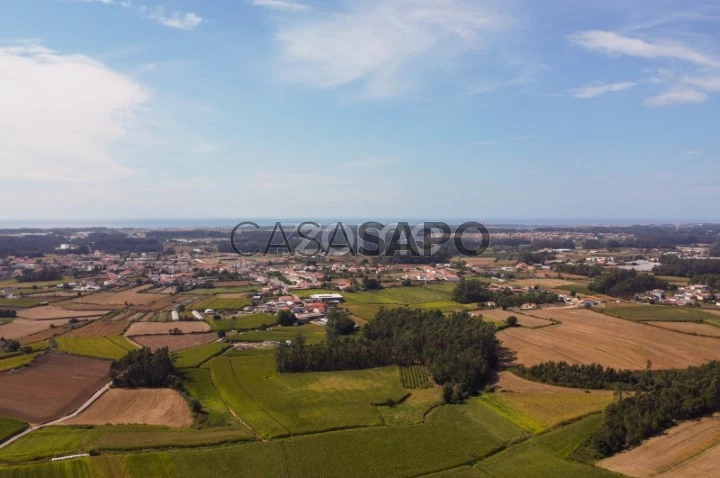 Terreno para comprar em Barcelos