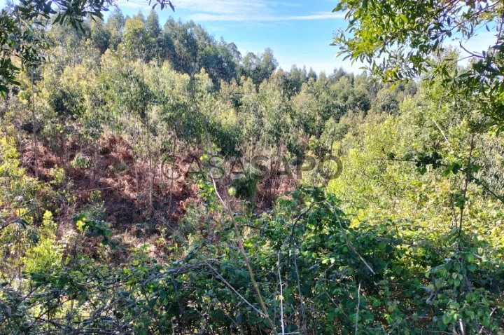 Terreno para comprar em Vila do Conde