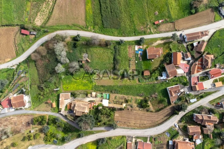 Terreno para comprar em Albergaria-a-Velha