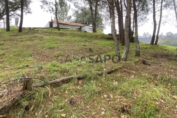 Terreno para comprar em Amarante