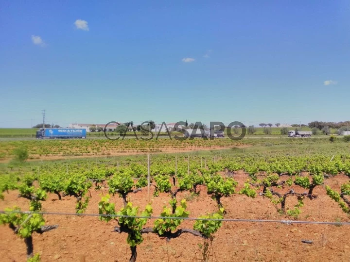 Terreno para comprar em Estremoz