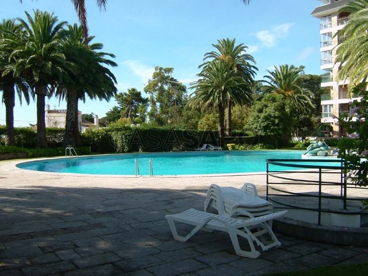 Swimming Pool and garden