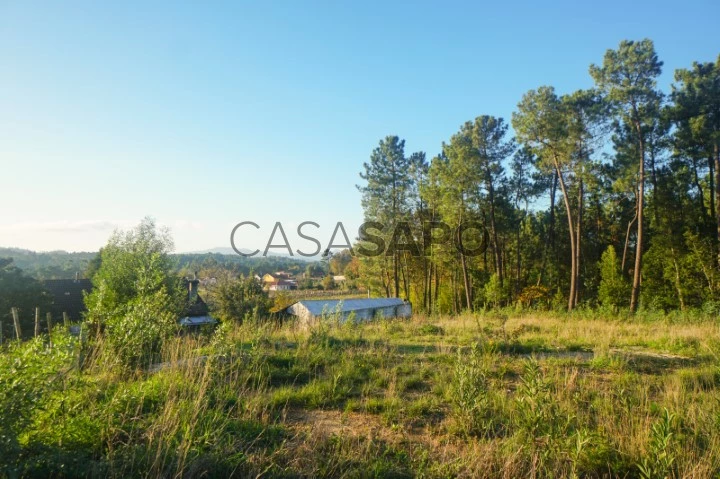 Land for sale, in Mazedo and Cortes, Monção with approximately 2550 m2.