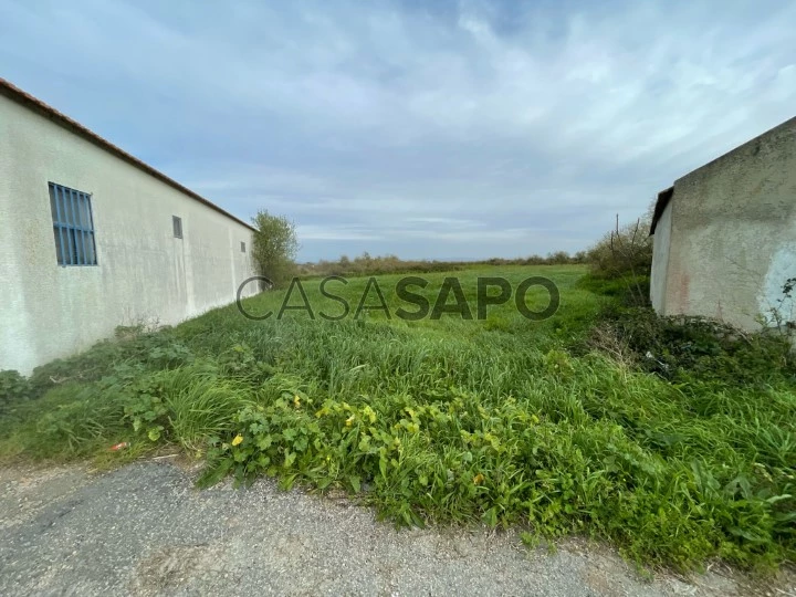 Terreno Rústico para comprar na Murtosa