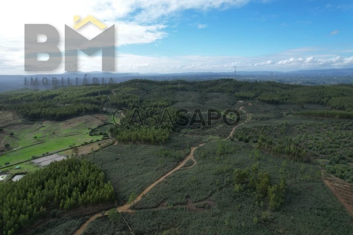 Terreno para comprar em Vila Velha de Rodão