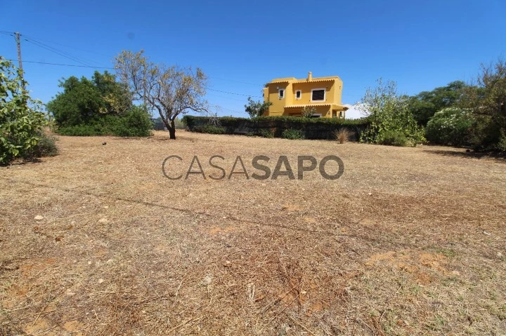 Terreno urbano com vista mar - Guia (1)