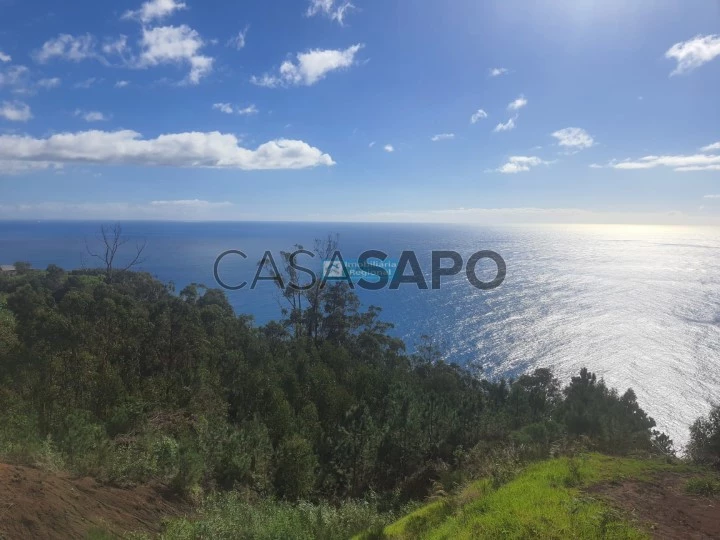 Terreno para comprar em Ponta do Sol