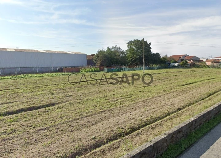 Terreno Industrial para comprar em Aveiro