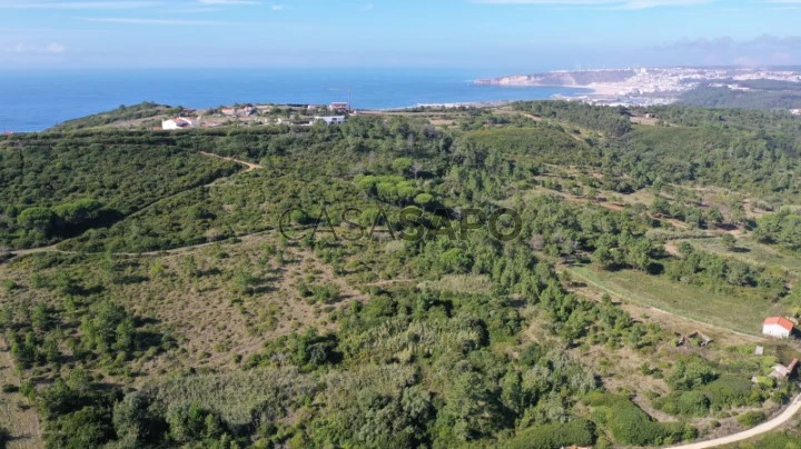 Terreno Misto para comprar na Nazaré