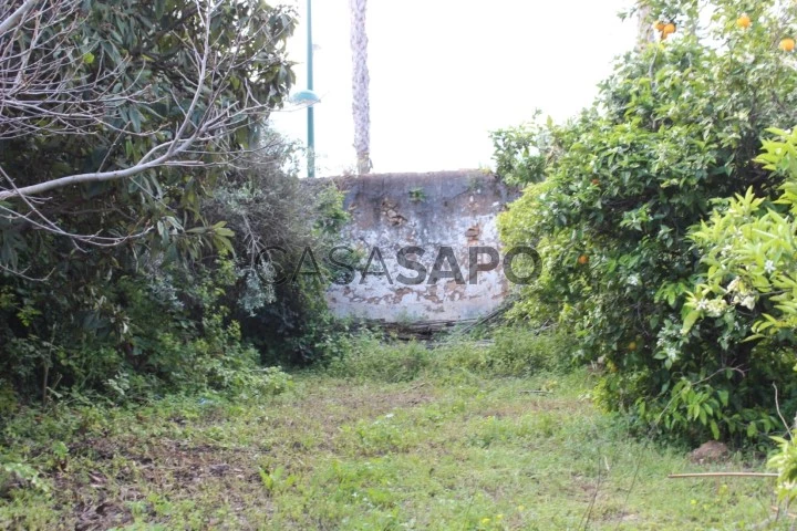 Terreno Urbano em Loulé