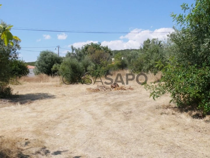 Terreno urbano em São Brás de Alportel