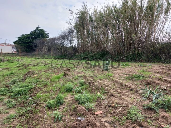 Terreno para comprar em Torres Vedras