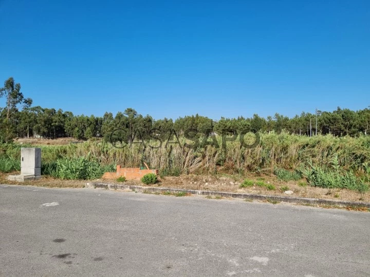 Lotes entre Óbidos e Caldas da Rainha