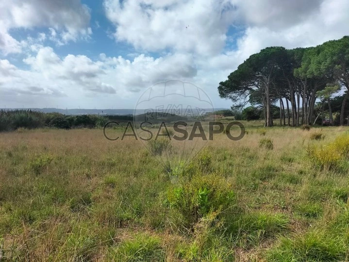 Terreno para comprar em Óbidos